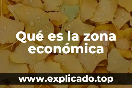 Vibrio que es 4 Qué es la zona económica