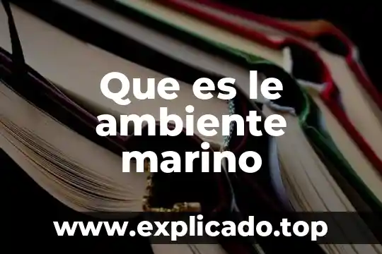 Hkey_dyn_data que es 8 Que es le ambiente marino