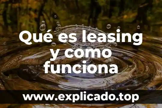 Aspel que es y para que sirve como funciona 7 Qué es leasing y como funciona