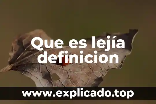 Definicion de que es una entrevista directa 7 Que es lejía definicion