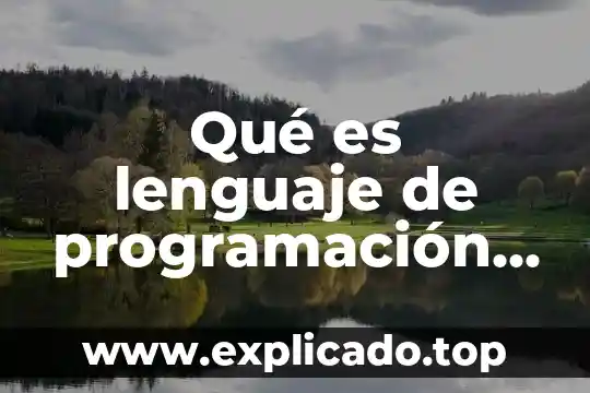 Por que es importante dar un buen servicio al cliente 3 Qué es lenguaje de programación del lado del cliente