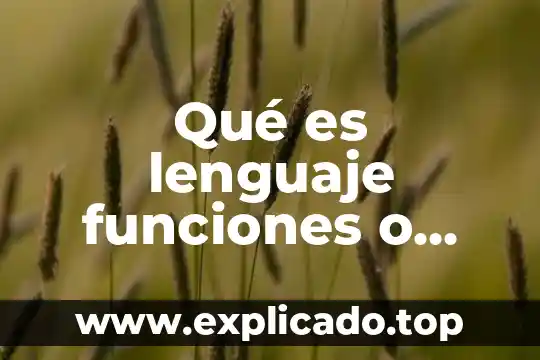 Qué es lenguaje funciones o tipos