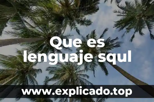 Qué es el lenguaje coa 6 Que es lenguaje squl