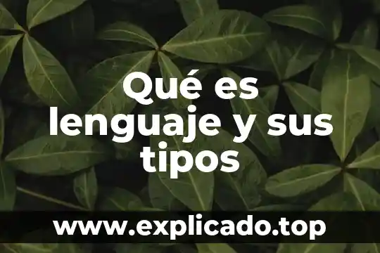 Qué es lenguaje y sus tipos
