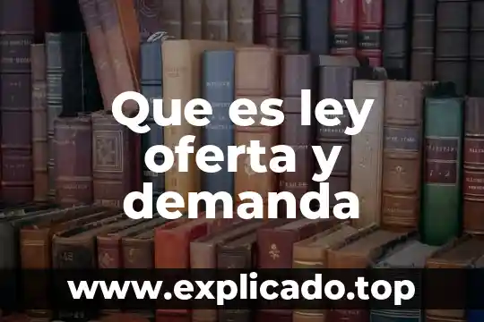 Qué es la oferta pública en mercado de dinero 4 Que es ley oferta y demanda