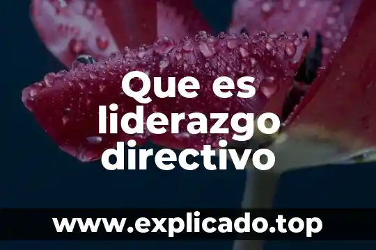 Que es una cas señorial 8 Que es liderazgo directivo