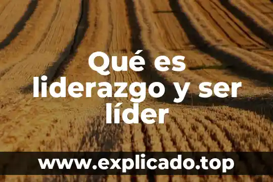 Que es un lider de diseño 3 Qué es liderazgo y ser líder