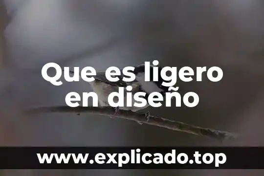 Que es una expresion diseño de algoritmica 5 Que es ligero en diseño