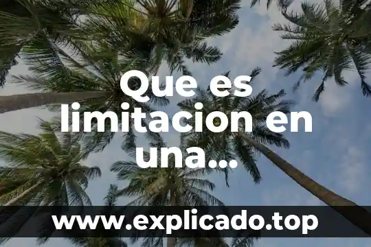 Qué es un coste de producción 3 Que es limitacion en una investigacion de mutacion