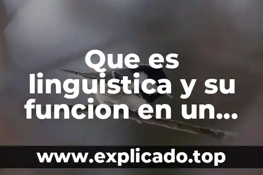 Qué es la diversidad linguística concepto 4 Que es linguistica y su funcion en un idioma
