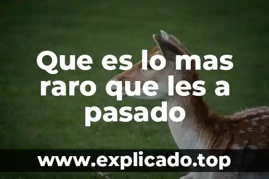 Que es raro una persona 5 Que es lo mas raro que les a pasado