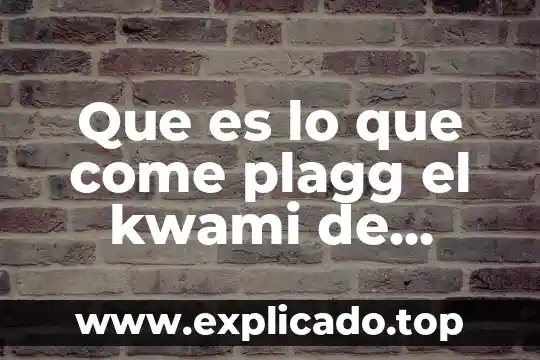 Que es lo que se come al piloto en lost 3 Que es lo que come plagg el kwami de adrien