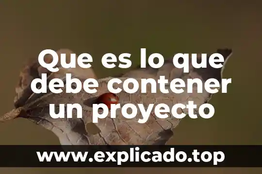 En un proyecto que es quality wall 8 Que es lo que debe contener un proyecto