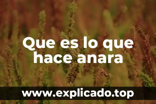 Que es lo que hace anara