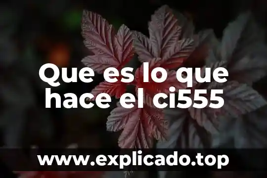 Que es lo que hace el ci555