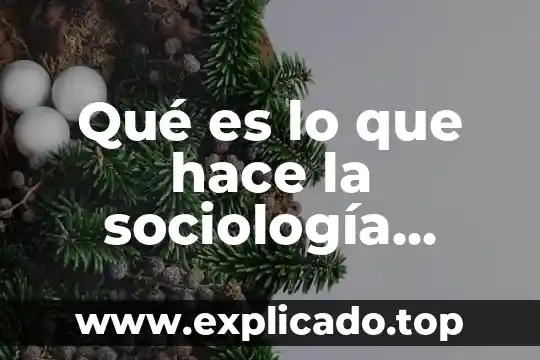Que es la sexualidad segun la sociologia 8 Qué es lo que hace la sociología educativa