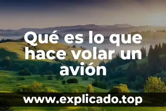 Qué es lo que hace volar un avión