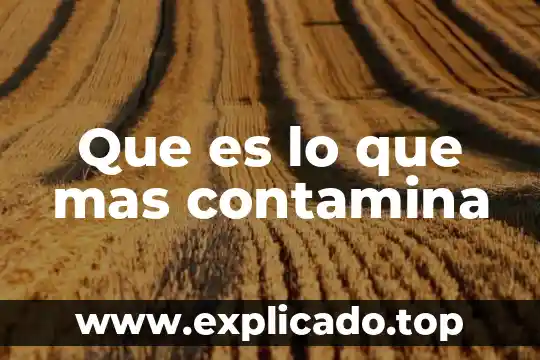 Que es la ecologia y la proteccion ambiental 8 Que es lo que mas contamina