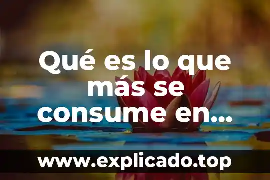 Qué es lo que consume un mexicano a diario 7 Qué es lo que más se consume en brasil