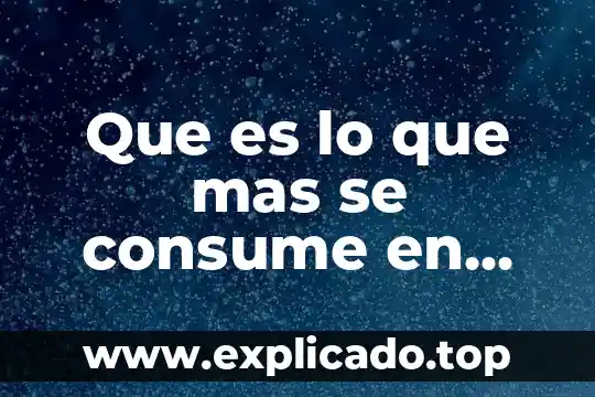 Qué es lo que consume un mexicano a diario 3 Que es lo que mas se consume en turismo