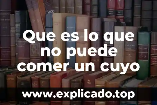 Qué es lo que no puede hacer un policía 3 Que es lo que no puede comer un cuyo