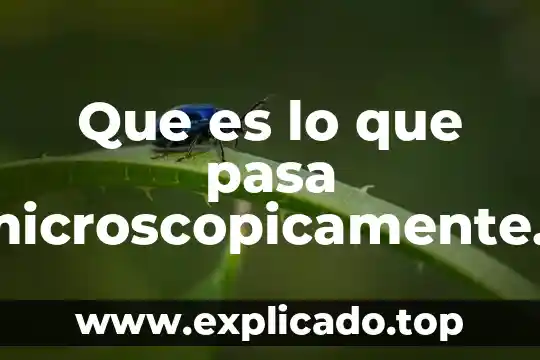 Qué es lo que pasa cuando escuchas música 7 Que es lo que pasa microscopicamente al imantar un material