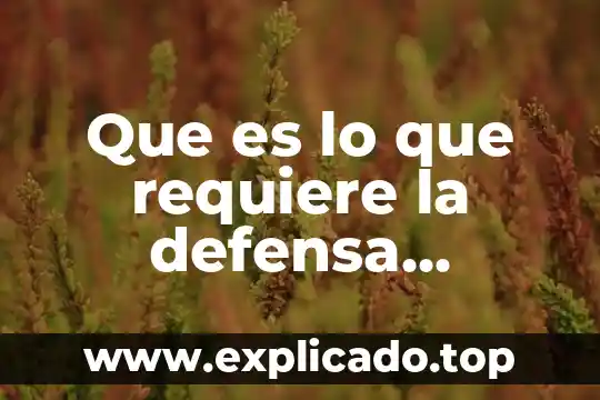 Que es un tipo de defensa fiscal 5 Que es lo que requiere la defensa nacional