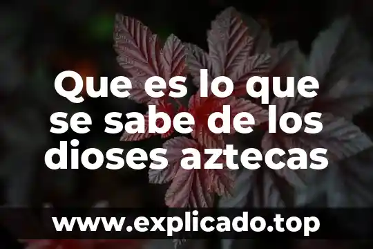 Un sociopata sabe que es sociopata 8 Que es lo que se sabe de los dioses aztecas
