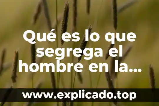 Que es el pull fire en seguridad industrial 8 Qué es lo que segrega el hombre en la erección