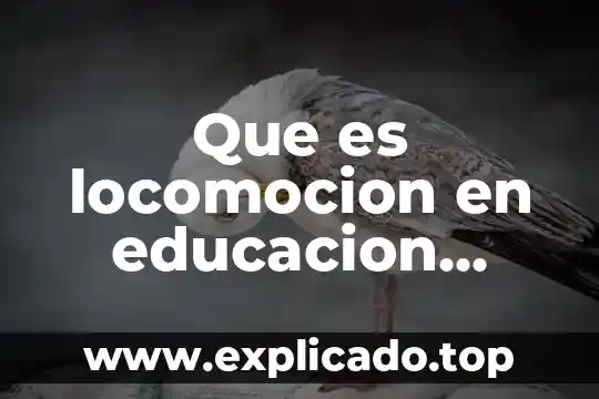 Que es locomocion en educacion fisica actividades