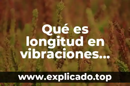 Qué es un espectro botado en análisis de vibraciones 5 Qué es longitud en vibraciones mecánicas