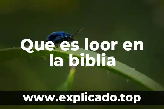 Que es el catalogo de cuentas de contabilidad 4 Que es loor en la biblia