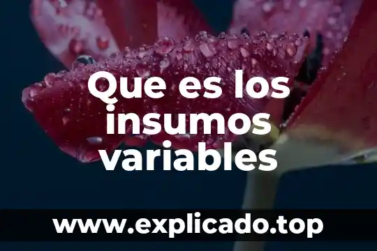 Que es los insumos variables