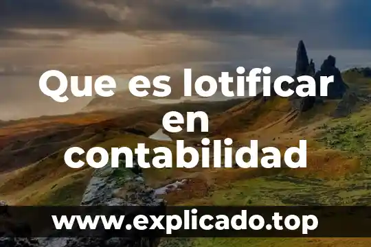 Que es lotificar en contabilidad