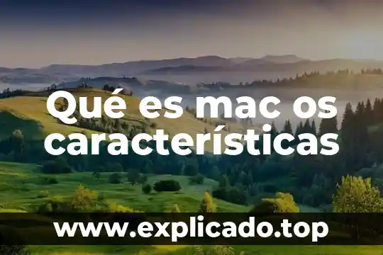 Qué es el enamoramiento características y tipos 4 Qué es mac os características