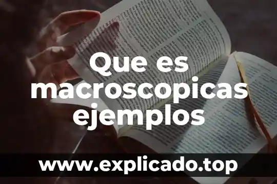Que es proactivo y ejemplos 8 Que es macroscopicas ejemplos