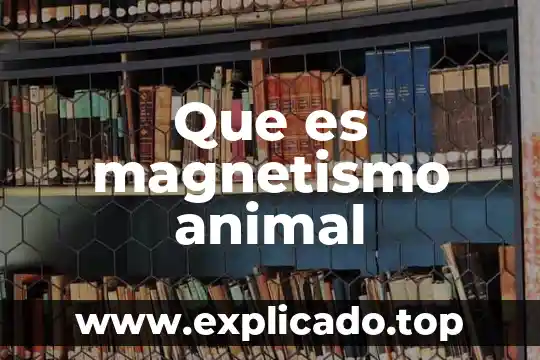 Qué es el magnetismo con la vida cotidiana 6 Que es magnetismo animal