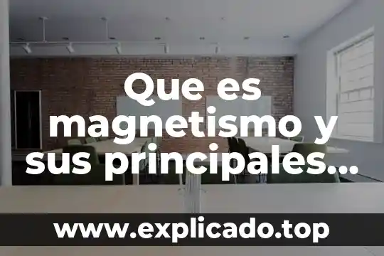 Que es magnetismo animal 5 Que es magnetismo y sus principales funciones