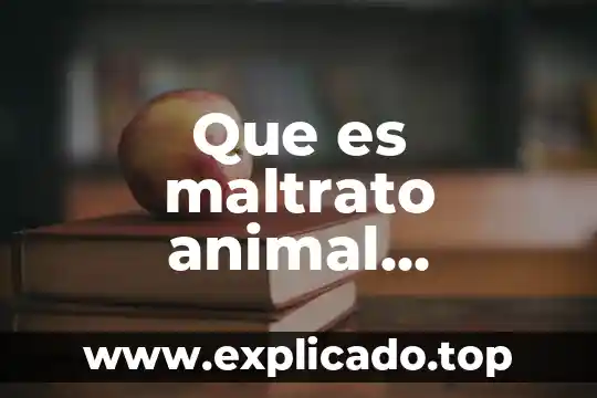 Por que es conocido tequisquiapan queretaro 4 Que es maltrato animal queretaro