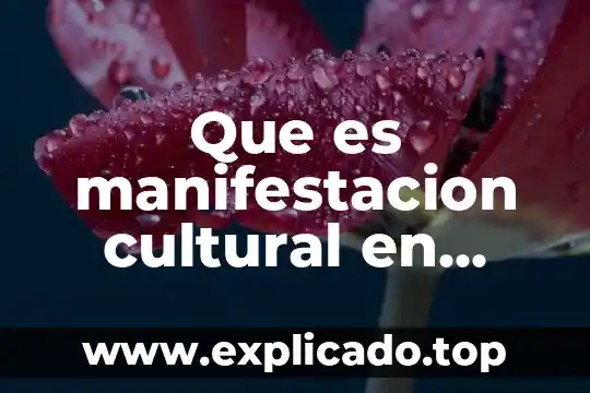 Que es la etica en el legislador 8 Que es manifestacion cultural en etica
