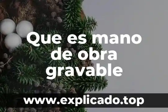 Que es la mano de obra barata 3 Que es mano de obra gravable