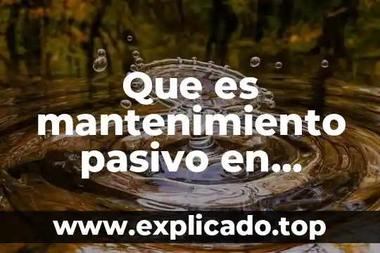 Que es pasivo y los tipos en una empresa 6 Que es mantenimiento pasivo en informatica