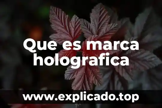 Que es la marca db 3 Que es marca holografica