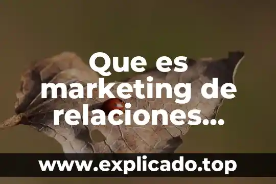 Que es el impacto en marketing 6 Que es marketing de relaciones saturn