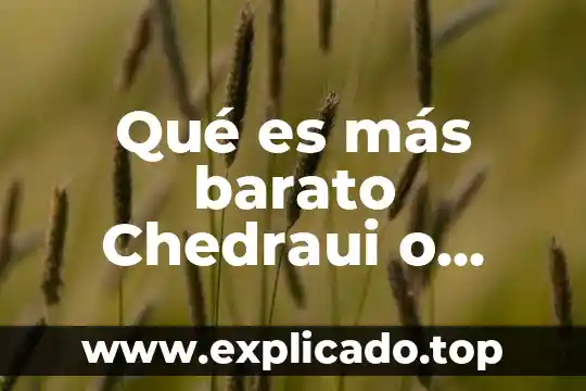 ¿Qué es más barato DHL o UPS? 5 Qué es más barato Chedraui o Gran Bodega Aurrera