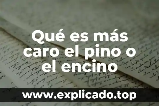 Qué es más caro el pino o el encino