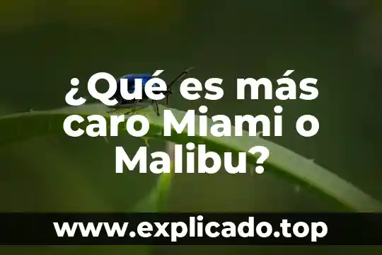 Qué es más caro el acero o el hierro forjado 4 ¿Qué es más caro Miami o Malibu?