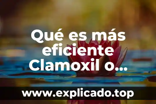 Que es el uso eficiente y racional del agua 3 Qué es más eficiente Clamoxil o Amoxicilina