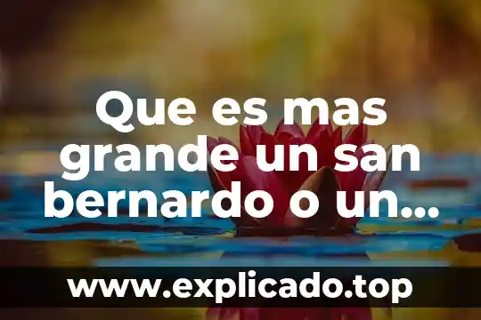 Qué es un coste de producción 8 Que es mas grande un san bernardo o un terranova