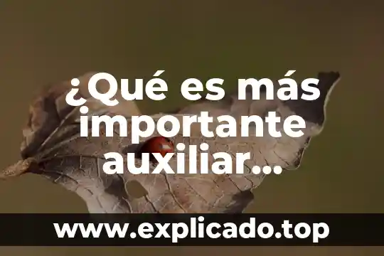 Que es programacion administrativo 5 ¿Qué es más importante auxiliar administrativo o capturista?